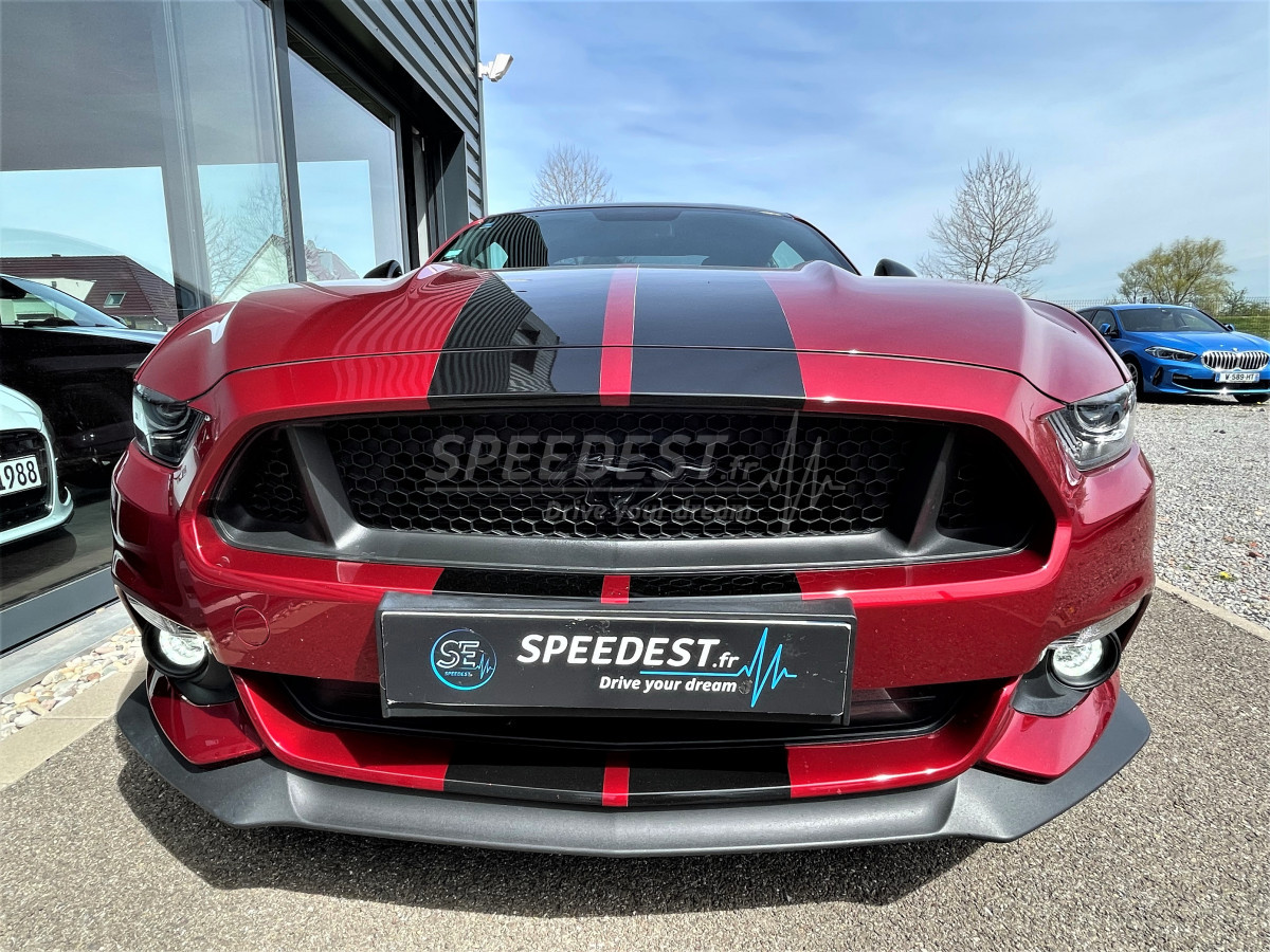 MUSTANG FASTBACK 5.0 -BORLA/PAS DE MALUS!-