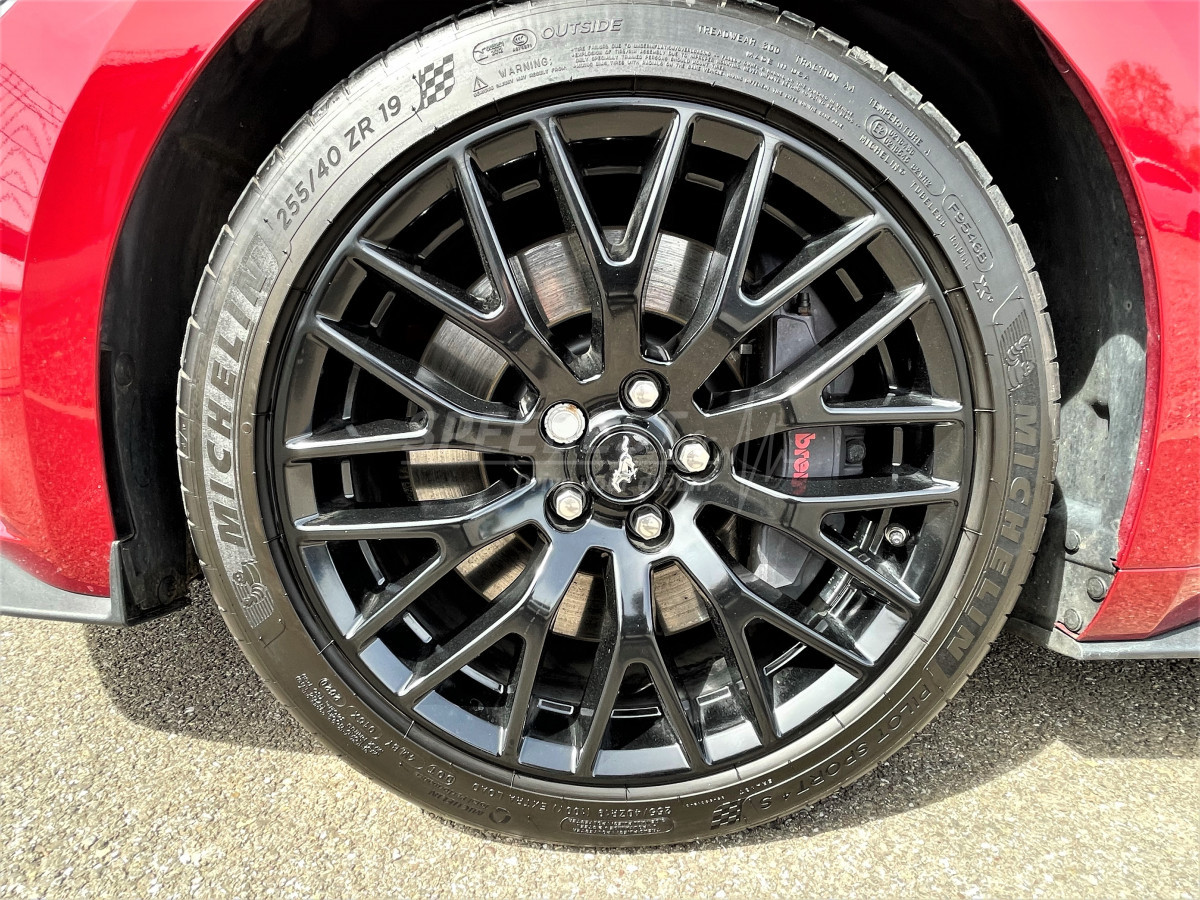 MUSTANG FASTBACK 5.0 -BORLA/PAS DE MALUS!-