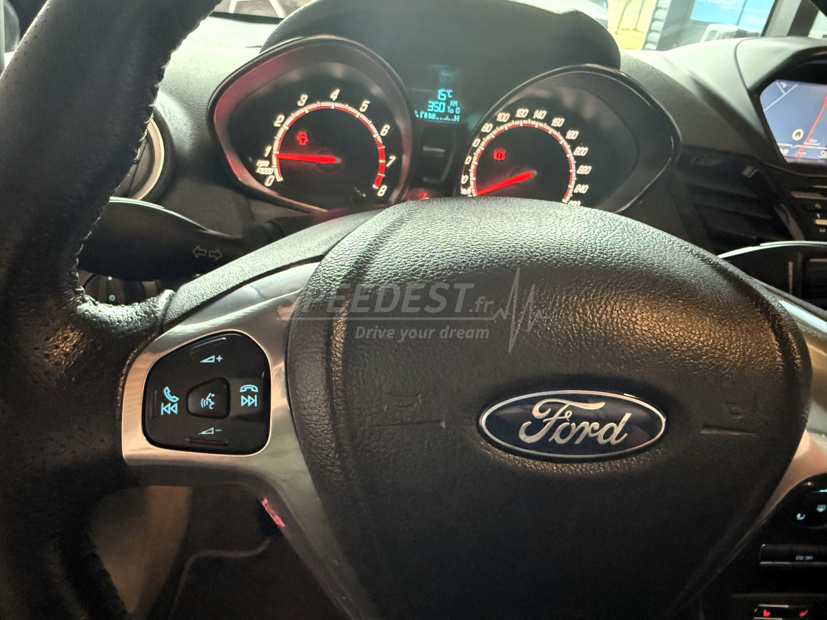 FIESTA ST -LA BOMBINETTE POLYVALENTE-