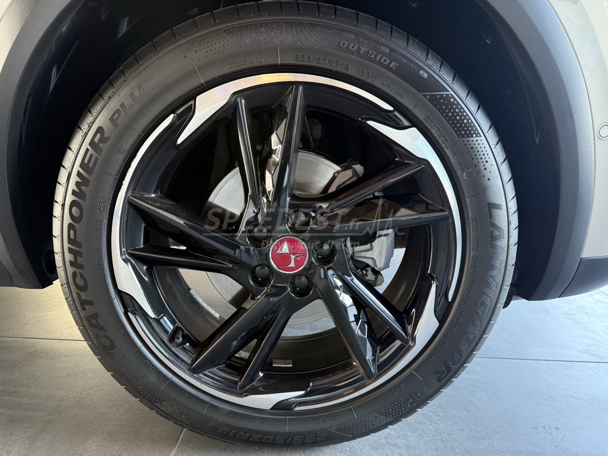 DS7 CROSSBACK PERFORMANCE LINE +