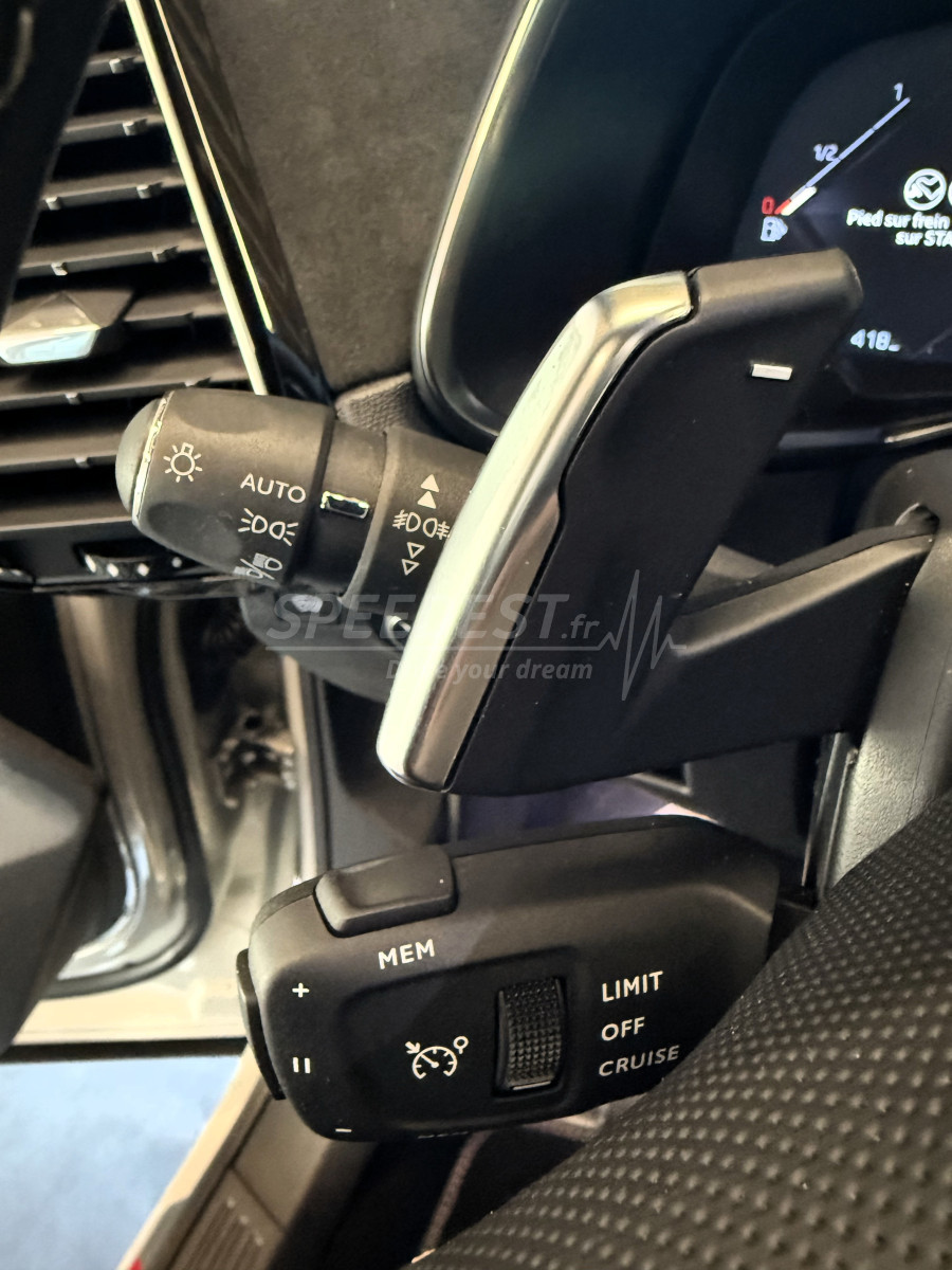 DS7 CROSSBACK PERFORMANCE LINE +