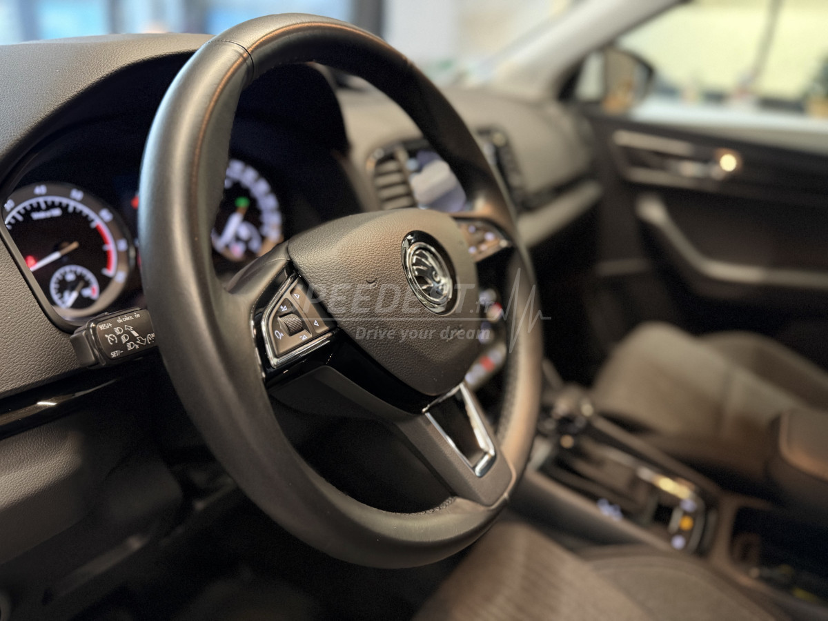 KAROQ STYLE -CAMERA/CARPLAY-