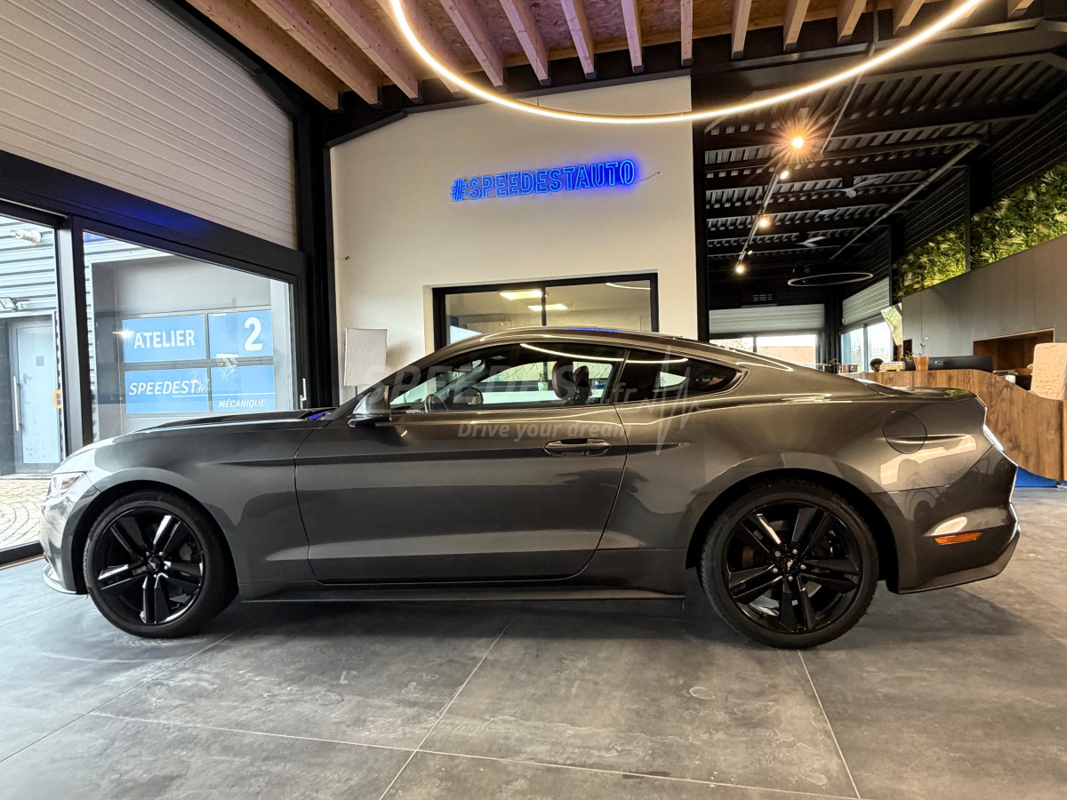 MUSTANG COUPE -RAGAZZON-