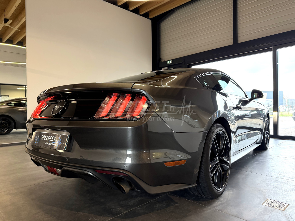 MUSTANG COUPE -RAGAZZON-