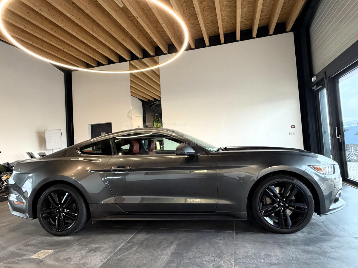 MUSTANG COUPE -RAGAZZON-