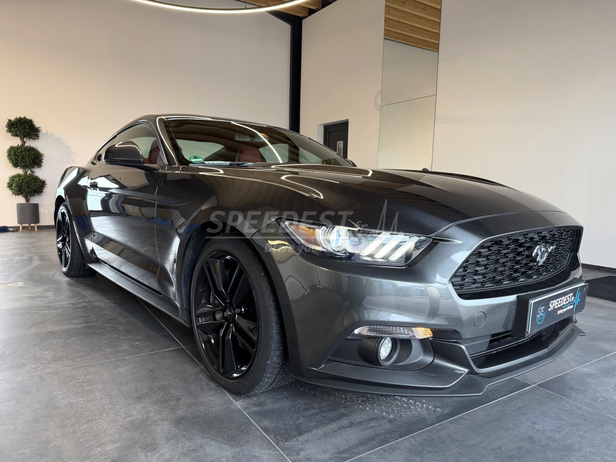 MUSTANG COUPE -RAGAZZON-