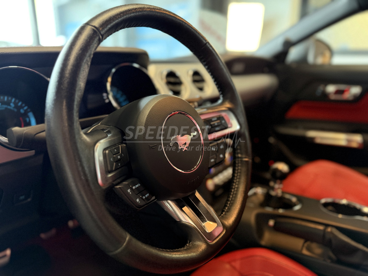 MUSTANG COUPE -RAGAZZON-