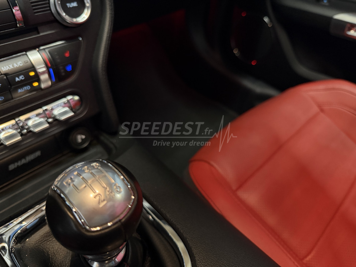 MUSTANG COUPE -RAGAZZON-