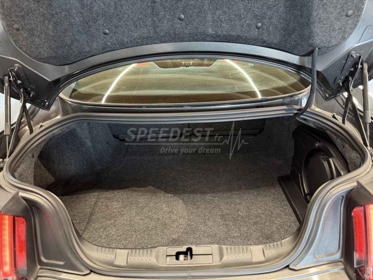 MUSTANG COUPE -RAGAZZON-