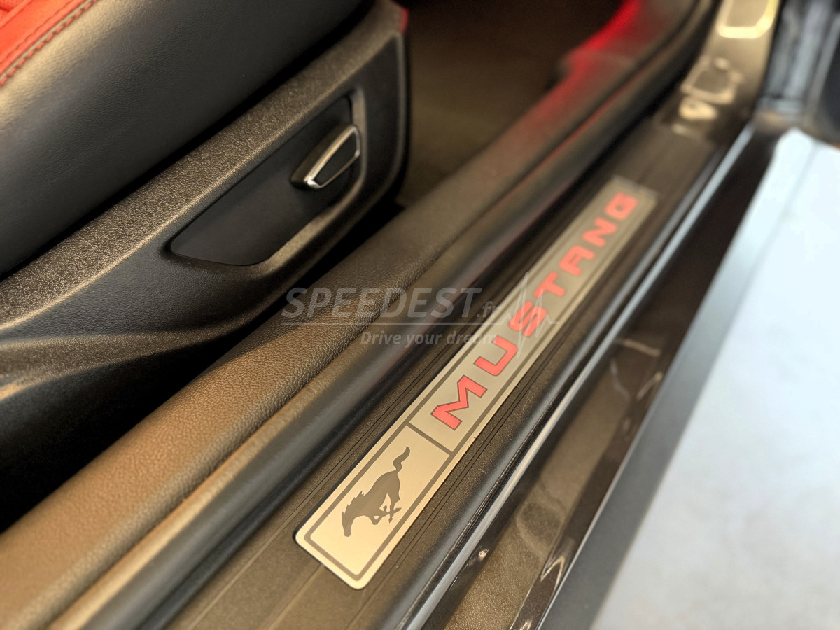 MUSTANG COUPE -RAGAZZON-