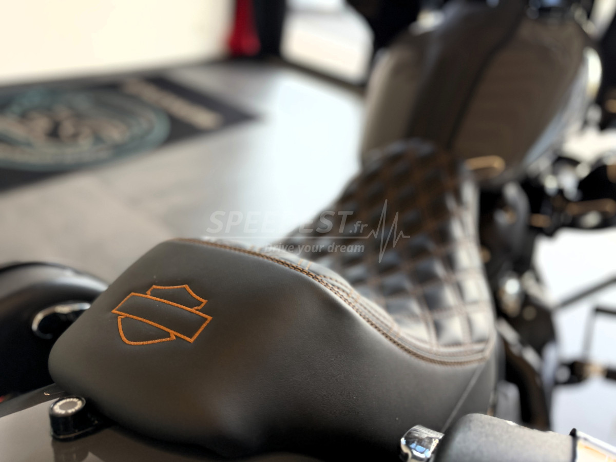 HARLEY DAVIDSON LOW RIDER ST